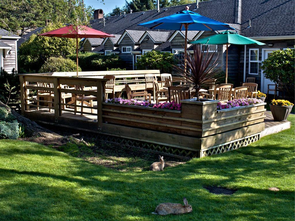 Ecola Creek Lodge Cannon Beach Luaran gambar